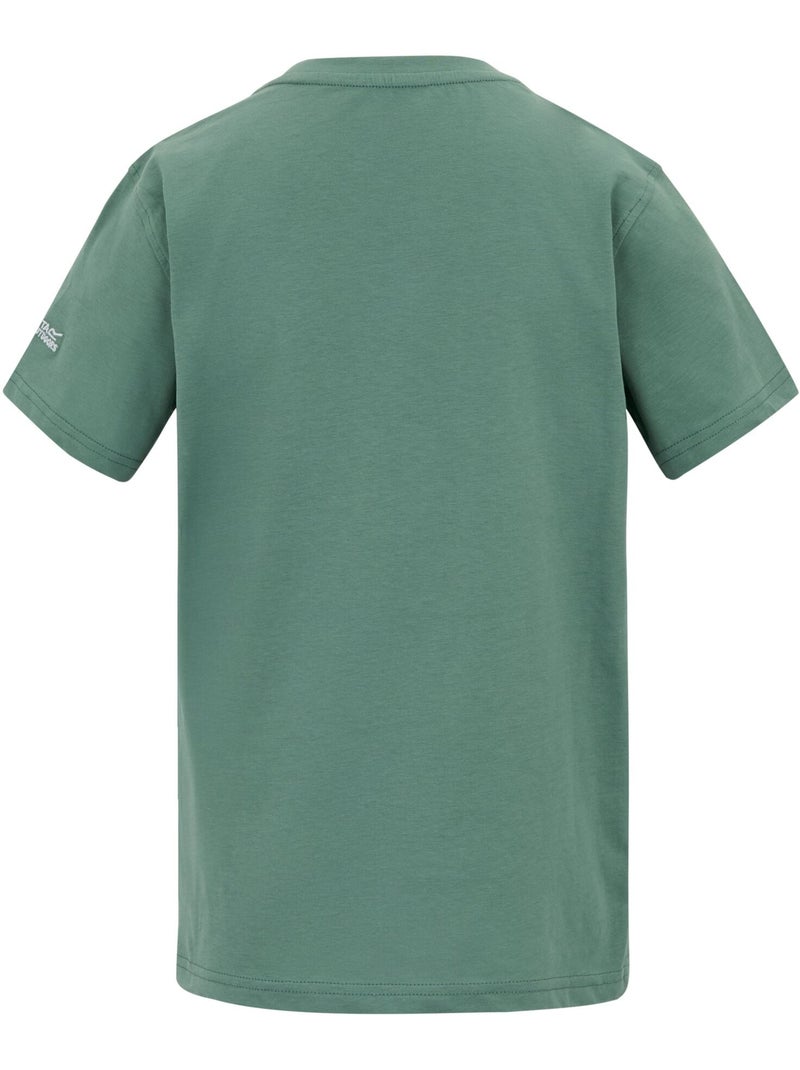 Regatta - T-shirt motif/style œuvre d´art BOSLEY Turquoise - Kiabi
