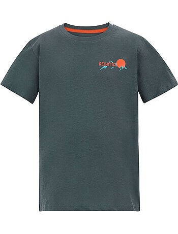 Regatta - T-shirt motif/style scène de montagne BOSLEY