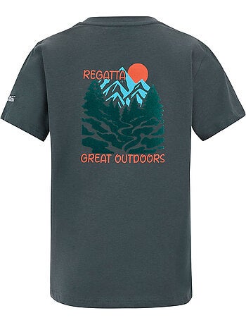 Regatta - T-shirt motif/style scène de montagne BOSLEY