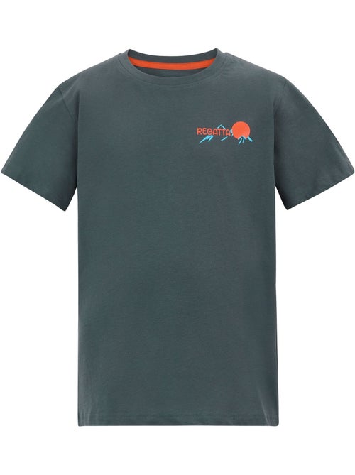 Regatta - T-shirt motif/style scène de montagne BOSLEY - Kiabi