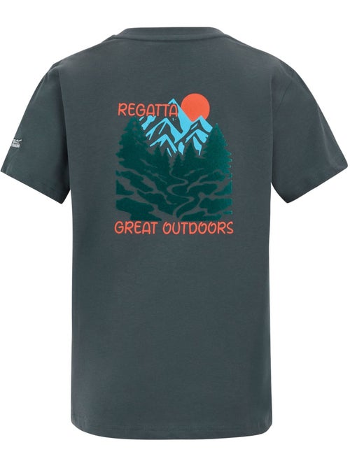 Regatta - T-shirt motif/style scène de montagne BOSLEY - Kiabi