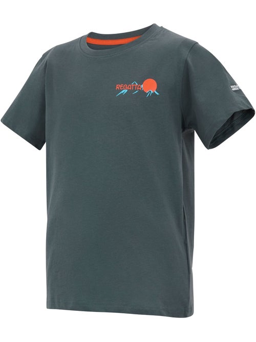 Regatta - T-shirt motif/style scène de montagne BOSLEY - Kiabi