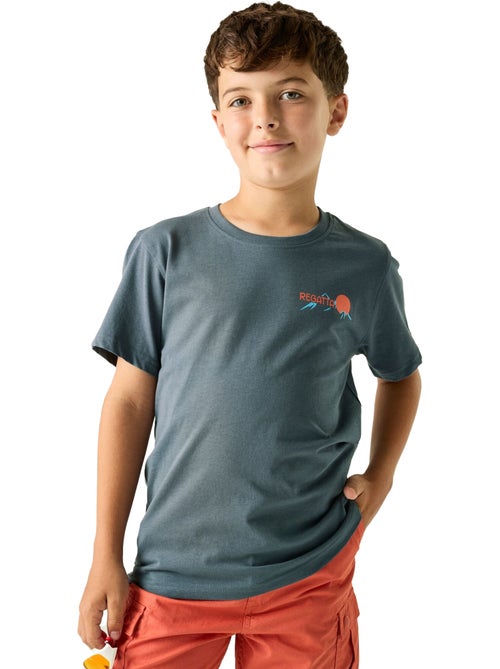 Regatta - T-shirt motif/style scène de montagne BOSLEY - Kiabi