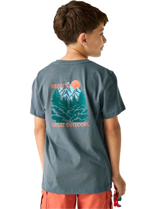 Regatta - T-shirt motif/style scène de montagne BOSLEY - Kiabi