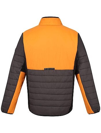 Regatta - Veste matelassée HALTON