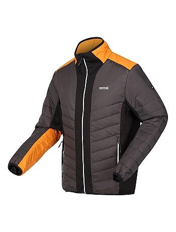 Regatta - Veste matelassée HALTON