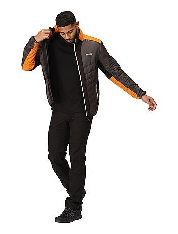 Regatta - Veste matelassée HALTON