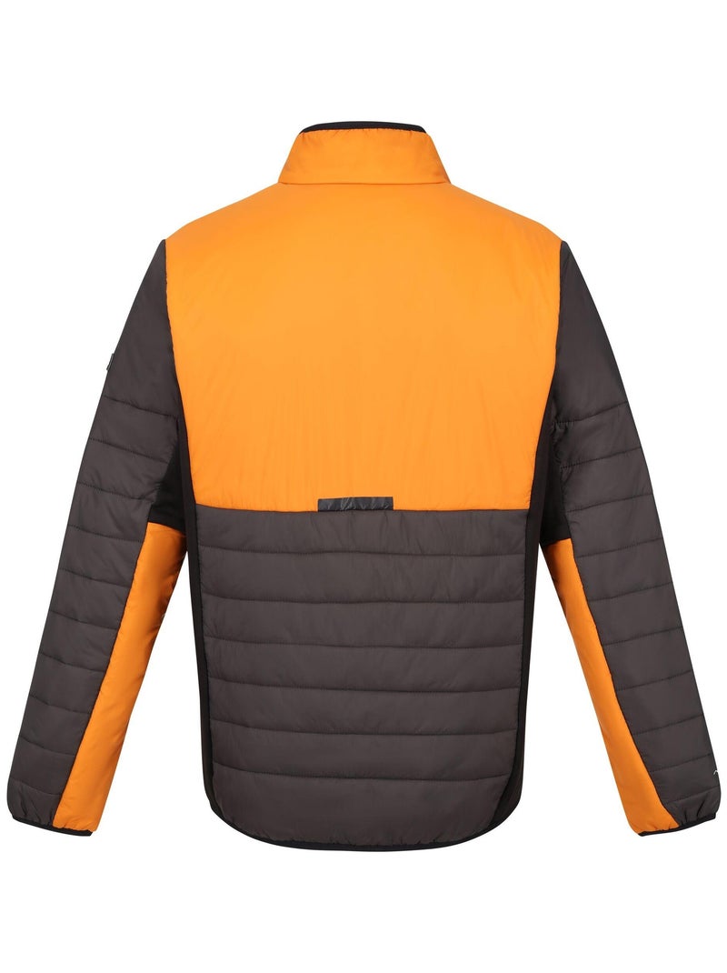 Regatta - Veste matelassée HALTON Gris Orange - Kiabi