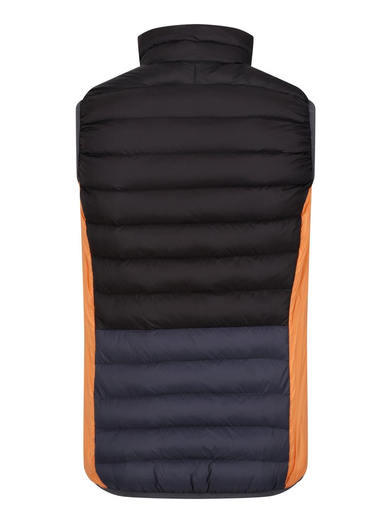 Regatta - Veste sans manches HARROCK Gris Noir Noir - Kiabi