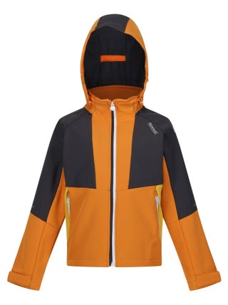 Regatta - Veste softshell HAYDENBURY