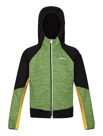 Regatta - Veste softshell PRENTON