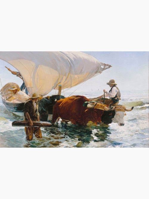 Retour de pêche de Sorolla - Kiabi
