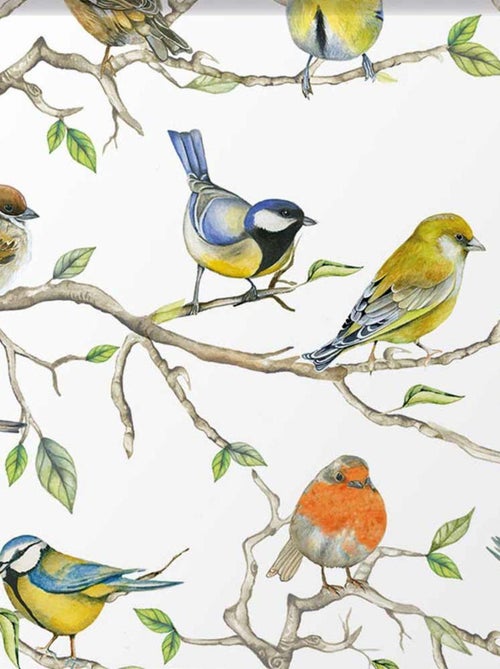 Réunion d'oiseaux - Mini plateau vide poche rectangulaire - Kiabi