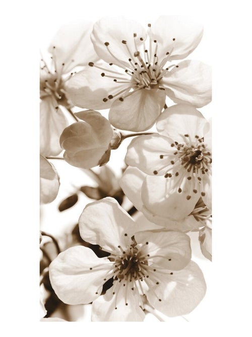 Rideau à fleur, imprimé zoom sur fleurs blanches et noirs 140x245 cm, 1 pièce - Kiabi