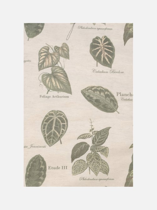 Rideau à Oeillets Botanique Vintage - Kiabi