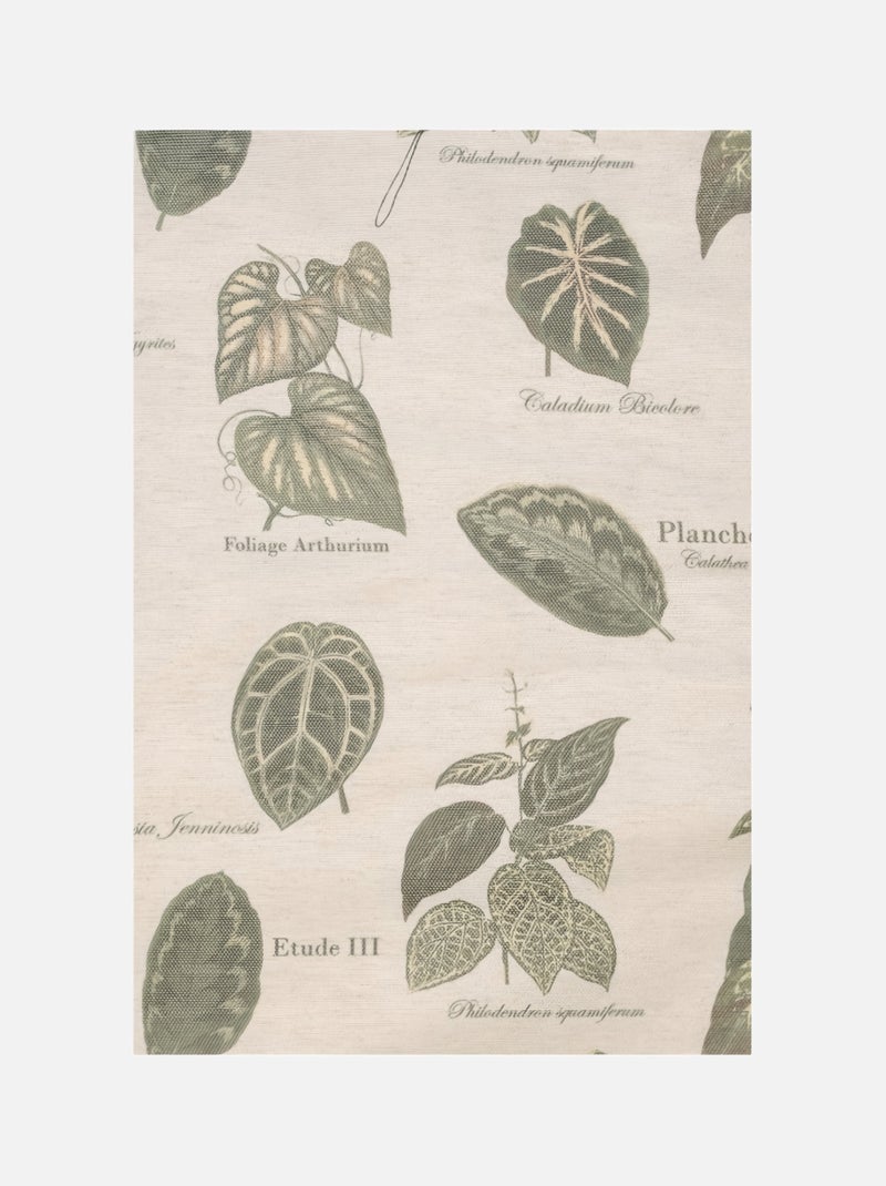 Rideau à Oeillets Botanique Vintage Vert - Kiabi