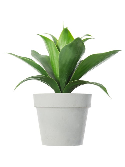 Rideau design pompons enfant Lilo - Kiabi