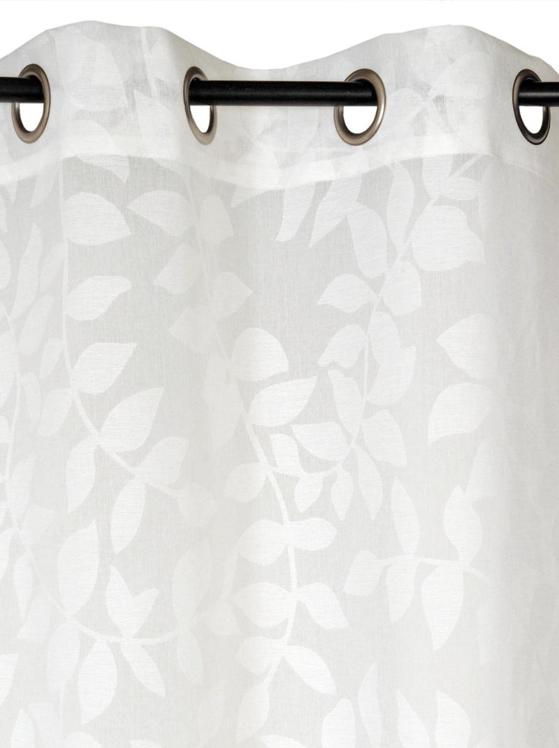 Rideau Voilage Imprimé feuilles - prêt à poser. Beige - Kiabi