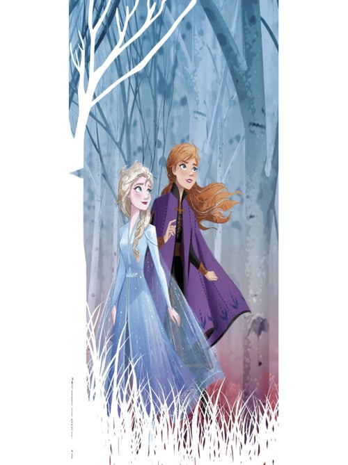 Rideaux - Disney La Reine des Neiges 2 - modèle dessin - 2 pièces 90 cm x 160 cm - Kiabi