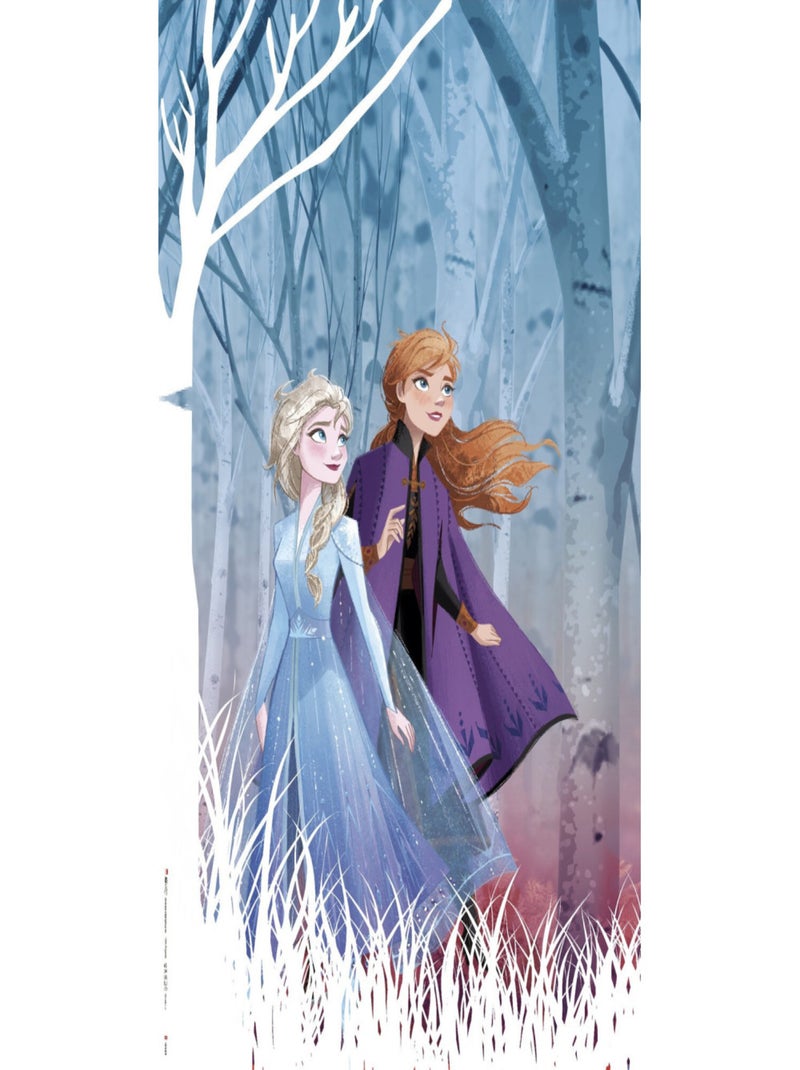Rideaux - Disney La Reine des Neiges 2 - modèle dessin - 2 pièces 90 cm x 160 cm Multicolore - Kiabi