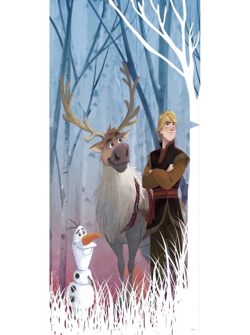 Rideaux - Disney La Reine des Neiges 2 - modèle dessin - 2 pièces 90 cm x 160 cm Multicolore - Kiabi