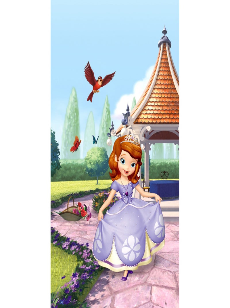 Rideaux - Disney Princesse Sofia - 2 pièces 90 cm x 160 cm Multicolore - Kiabi