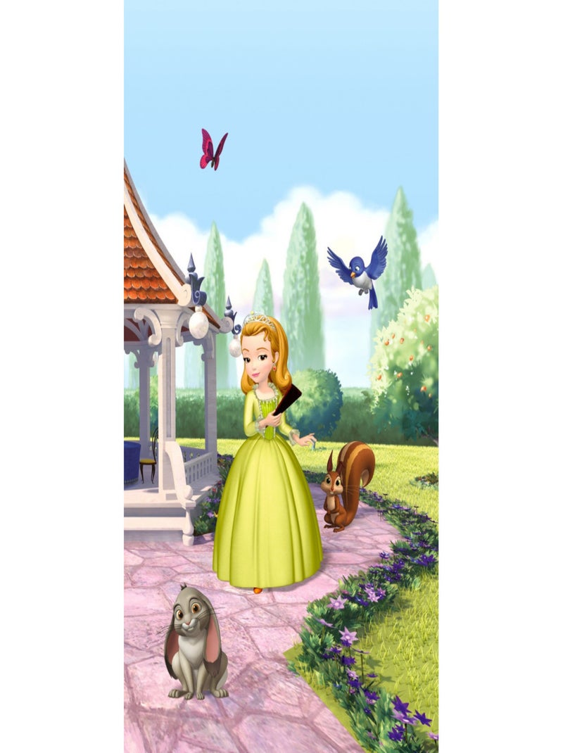Rideaux - Disney Princesse Sofia - 2 pièces 90 cm x 160 cm Multicolore - Kiabi