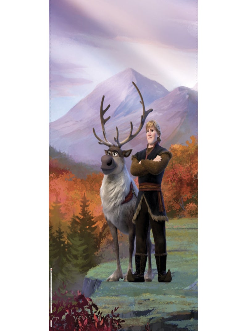 Rideaux Disney La Reine des Neiges 2 - modèle dans la forêt - 2 pièces 90x160 Multicolore - Kiabi