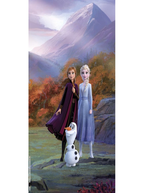 Rideaux Disney La Reine des Neiges 2 - modèle dans la forêt - 2 pièces 90x160 - Kiabi