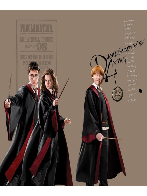 Rideaux Harry Potter avec Hermione et Ron - 2 pièces - L180 cm x H 160cm - Kiabi