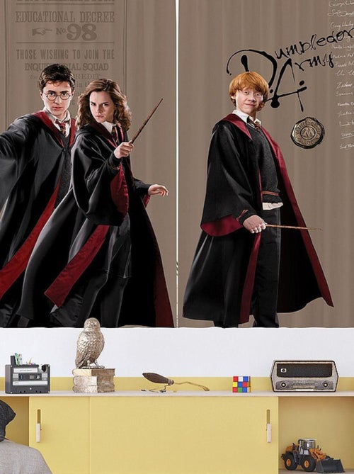 Rideaux Harry Potter avec Hermione et Ron - 2 pièces - L180 cm x H 160cm - Kiabi