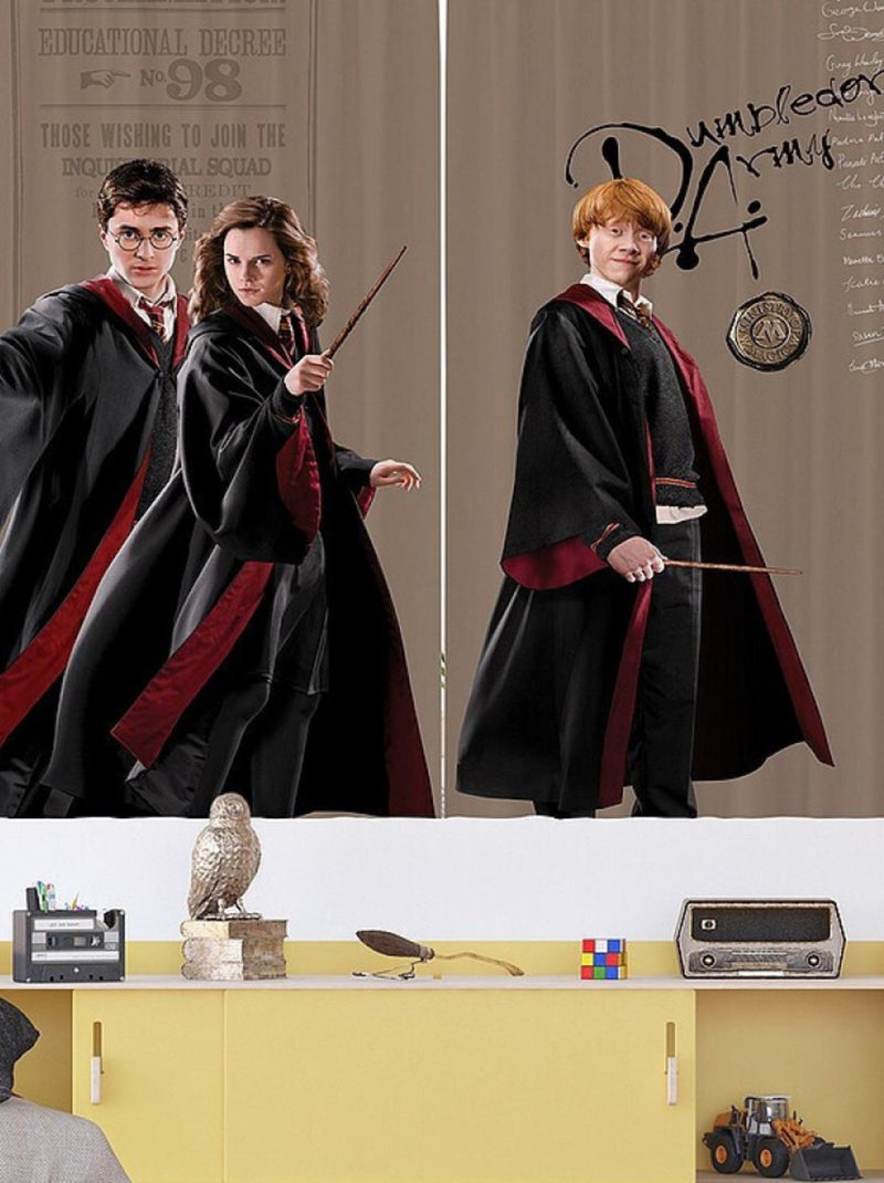 Rideaux Harry Potter avec Hermione et Ron - 2 pièces - L180 cm x H 160cm Multicolore - Kiabi