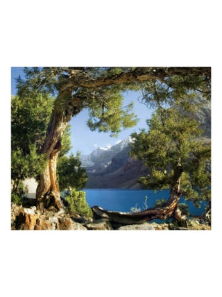 River , photo murale intissée, 360x270 cm, 4 parts