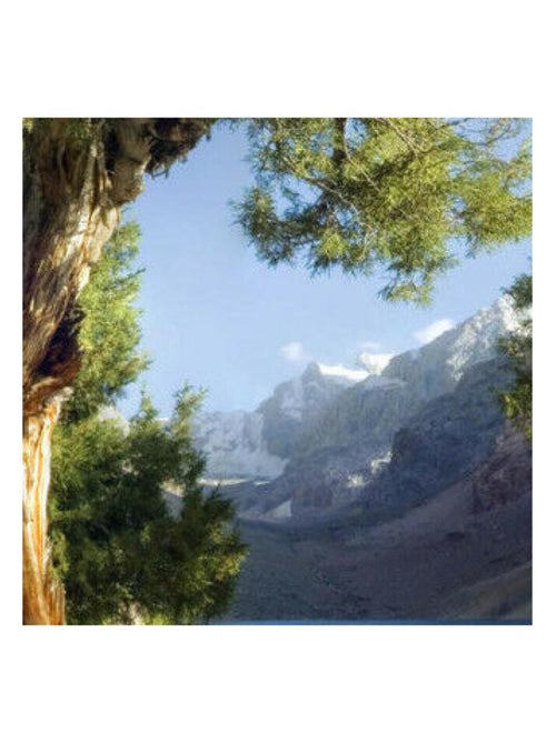 River , photo murale intissée, 360x270 cm, 4 parts - Kiabi