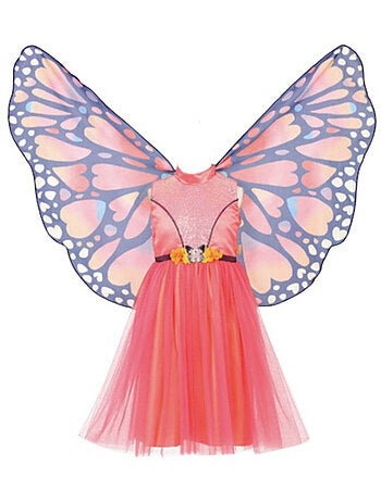Robe papillon et ailes papillon 8-10 ans