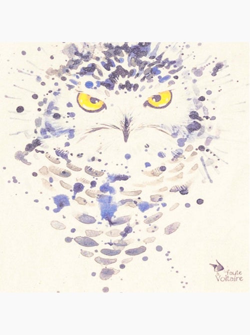 Robe Sweat   Coton  et  Imprimé Chouette  THE OWL - La Faute à Voltaire - Kiabi