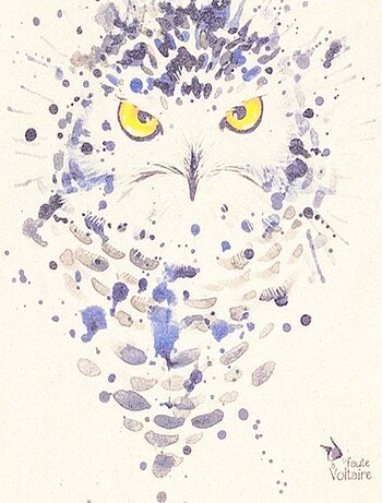 Robe Sweat Coton et Imprimé Chouette THE OWL - La Faute à Voltaire