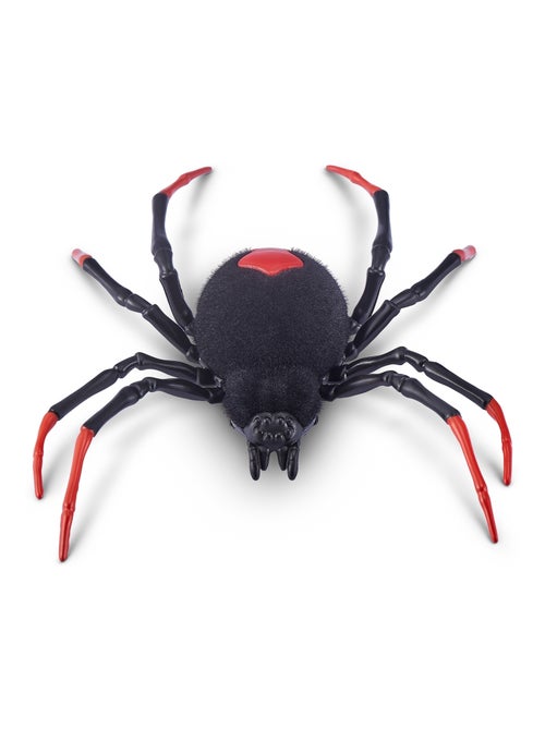 Robo Alive - Araignée rampante, phosphorescente - Kiabi