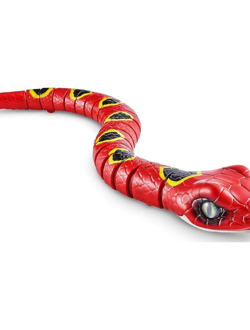 Robo Alive Serpent qui zigzague - Kiabi