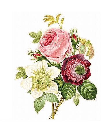 Rose, anémone et clématite de Redouté