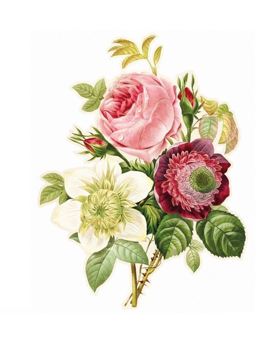 Rose, anémone et clématite de Redouté - Kiabi