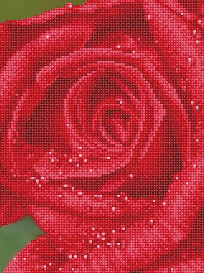 Rosée de rose N/A - Kiabi