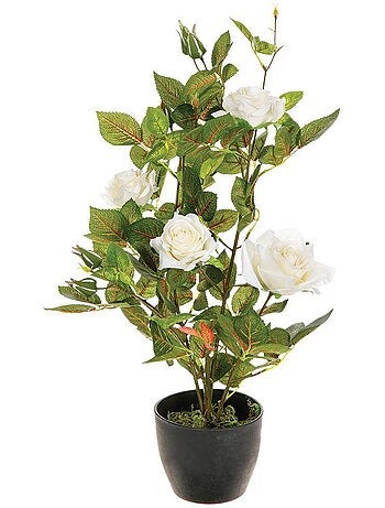 Rosier artificiel