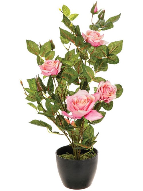 Rosier artificiel - Kiabi