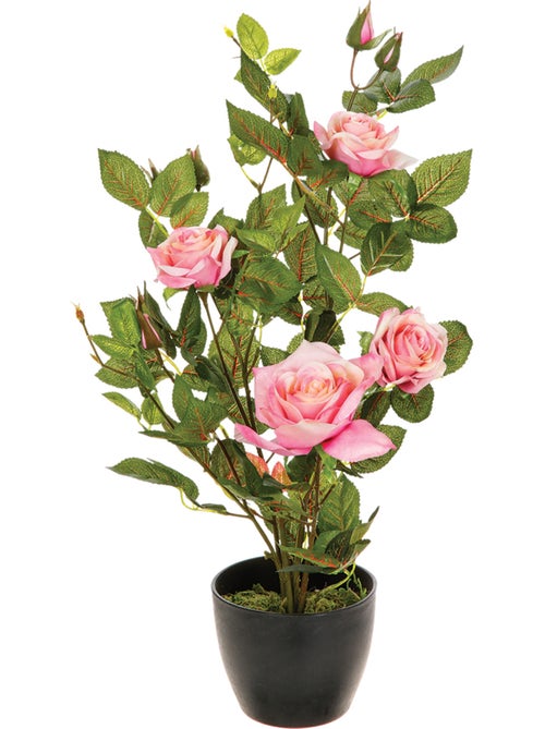 Rosier artificiel - Kiabi