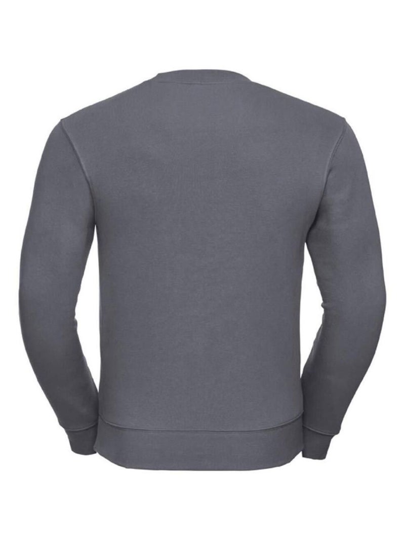 Russell Sweat-shirt authentique pour hommes (coupe plus fine) Gris foncé - Kiabi