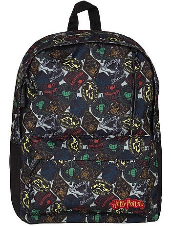 Sac à dos 42 cm Borne multicolore à thème Harry Potter – Harry Potter