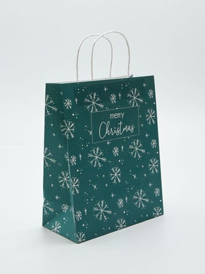 Lot De 10 Sacs Cadeau Noël En Kraft Avec Poignée - 21x15x8cm - Motifs Festifs (sapin, Père Noël, Flocons)