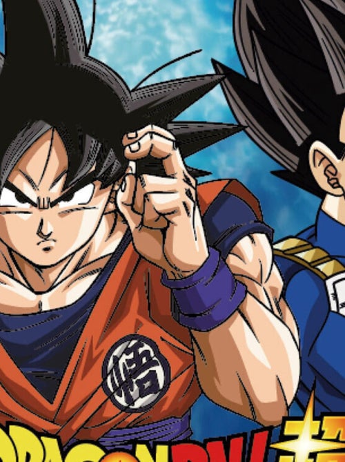 Sac de pique-nique - Dragon Ball Z - 26,5x21,5 cm - Kiabi