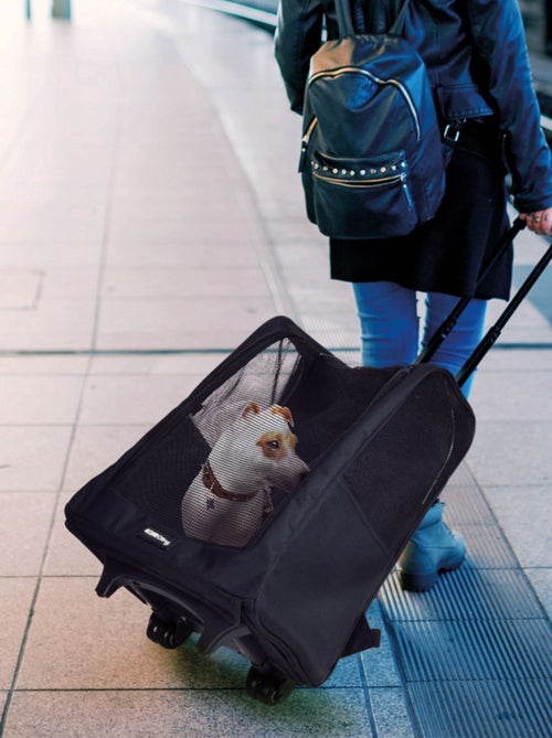 Sac de transport à roulettes pour chien et chat - Kiabi